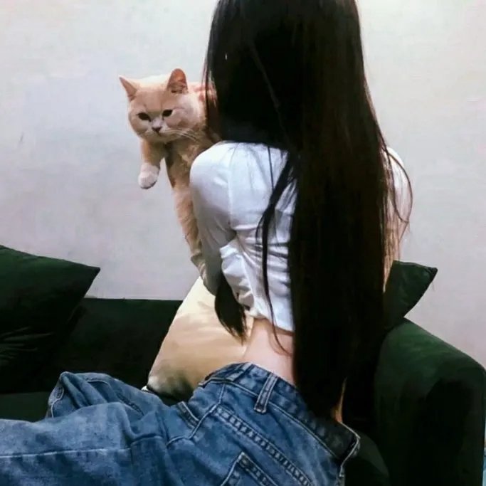 发胶明星梦现场！